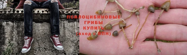 mdpv Белокуриха
