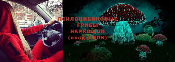 mdpv Белокуриха